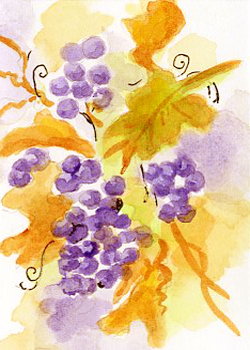 Purple Grapes Charlotte Olson Merrimac WI watercolor